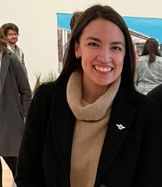 AOC was spotted wearing the Michele Benjamin Bee Pin in Sterling Silver while visiting the no existe un mundo poshuracán: Puerto Rican Art in the Wake of Hurricane Maria 